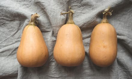 Warm up to Butternut Squash