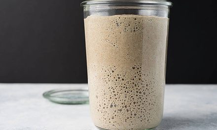 Creating a Sourdough Starter