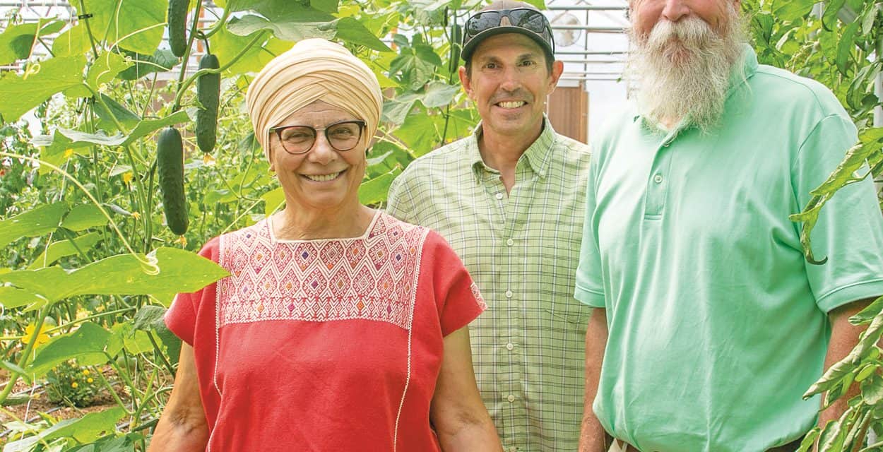 A Geothermal Greenhouse to Combat Greenhouse Gas