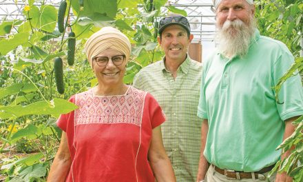 A Geothermal Greenhouse to Combat Greenhouse Gas