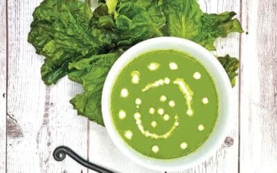 Lettuce Soup