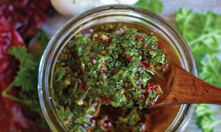 Red Chile Chimichurri